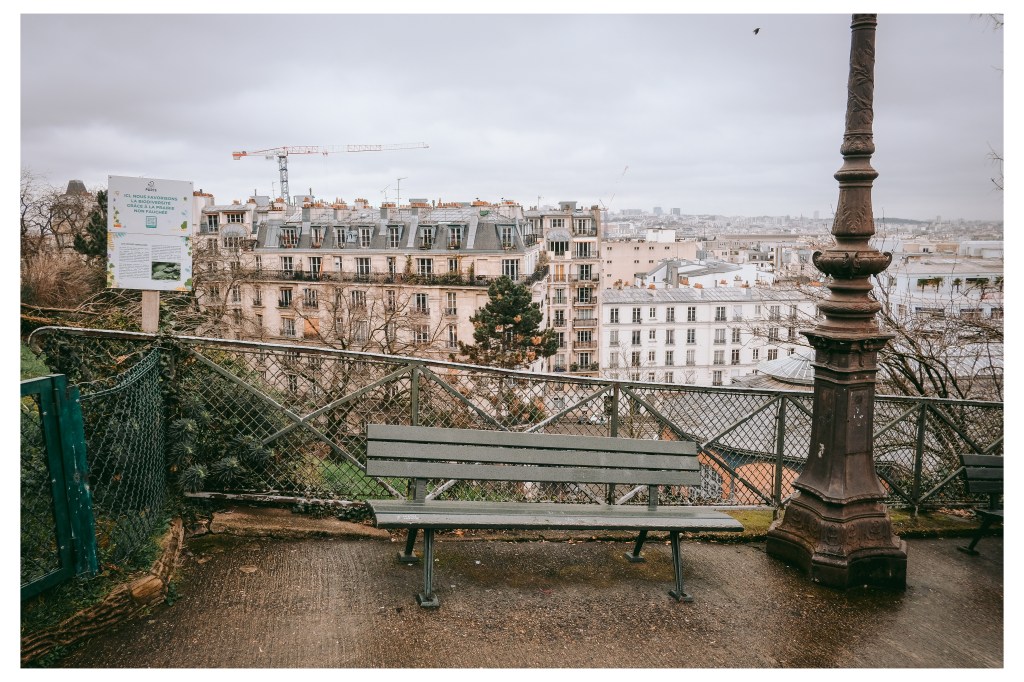 cityscape of Paris from Montmartre